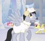 Snow catcher.png