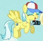 Tracy Flash id.png