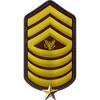 P030