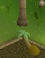 Palm4
