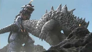 Magura vs Gomess