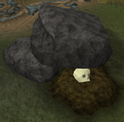 Restless Skull