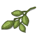 Lemon Branch-icon.png