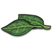 Leaves-icon.png