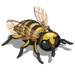 Bumblebee-icon.png