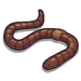 Earthworm-icon.png