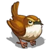 Wren-icon.png