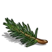 Needles-icon.png