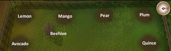 Seedling guide