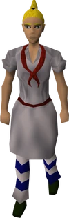 Servant cook