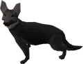 Sinclair Guard dog.png