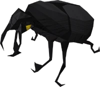 Small Scarab