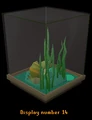 Snail display.png