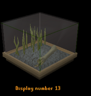 Snake display