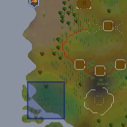 Snake weed3