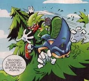 Scourge vs sonic