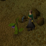 Strange plant2.png (34 KB) Strange plant2