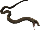 Swamp snake dead