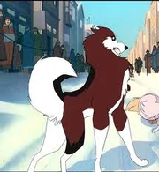 Images (8)