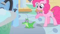 Pinkie Pie introduces Gummy S1E15