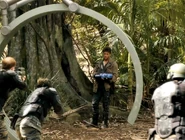 Portal