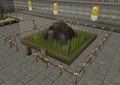 Turtle Varrock Museum.png