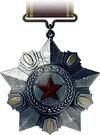RU 100 Medal