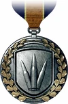 Assault Rifle Medal
