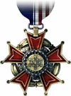 USMC 100 Medal