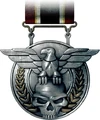 Combat Efficency Medal