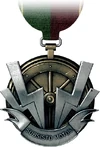 Anti Vehicle Medal