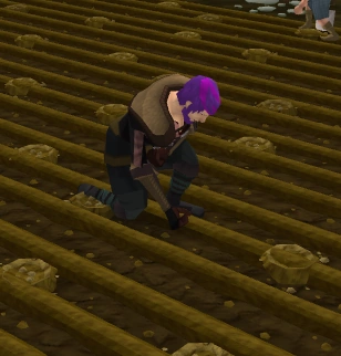 Vinesweeper inspecting hole