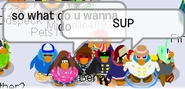 Shauny4