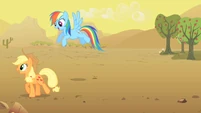 Applejack and Rainbow Dash S01E21