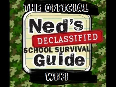 Ned wiki paint.jpg