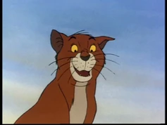 Aristocats360
