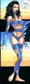 Raven 013