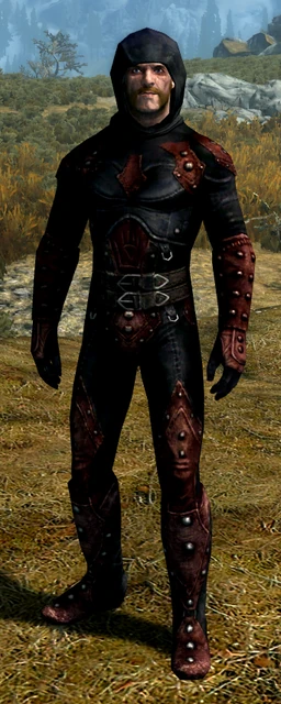 Dark Brotherhood Assassin