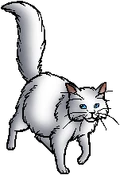 Snowfur.queen