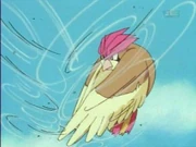 EP003 Pidgeotto usando tornado