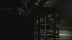 Attic2