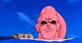 BuuSurfaceWater