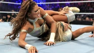 Survivor Series 2011 13