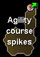 Wildy agility dungeon