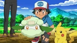EP692 Cottonee junto a Ash