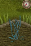Woad3