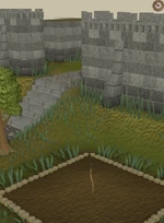 Yew1