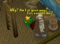Zanaris Frog Random