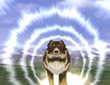 AngeloCharging