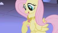 Fluttershy surprised by butterfly-shaped necklace S1E02